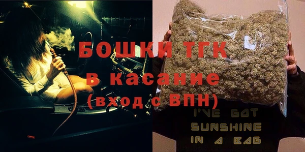 PSILOCYBIN Алзамай